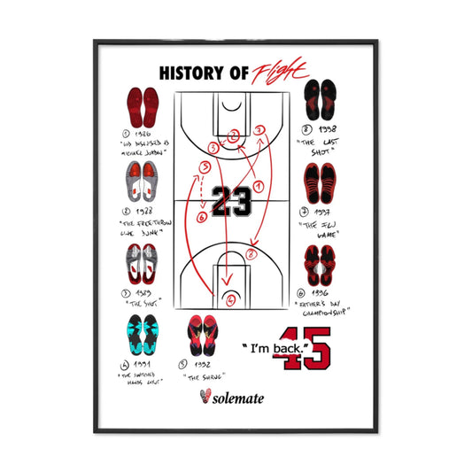 History of flight Print